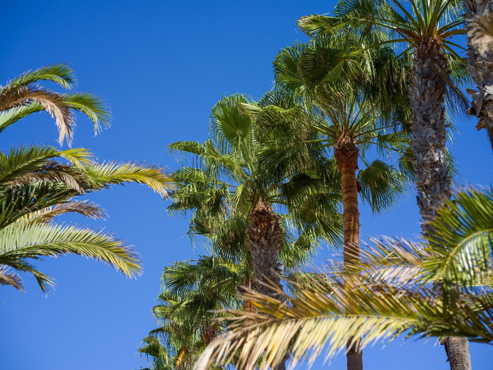 Casa Tindaya - 3 Min Walk To The Beach コラレホ エクステリア 写真